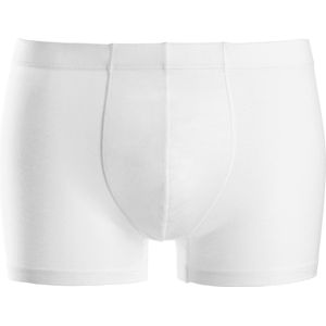 Hanro Pants Cotton Sporty