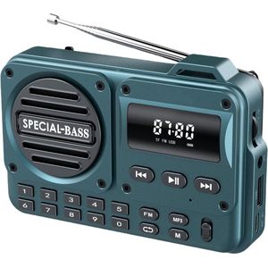 Turquoise Bluetooth draagbare radio - FM-radio en TF-kaartspeler - USB-C-oplaadfunctie met LCD-scherm - Draagbare luidspreker voor wandelen/joggen en gebruik in de sportschool