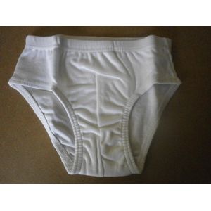 Petit Bateau - 2 pack - Jongens - Onderbroek - Slip - wit - 4 jaar 102