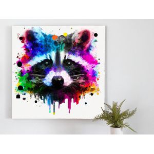 Rosy raccoon | Rosy Raccoon | Kunst - 75x75 centimeter op Forex | Foto op Forex