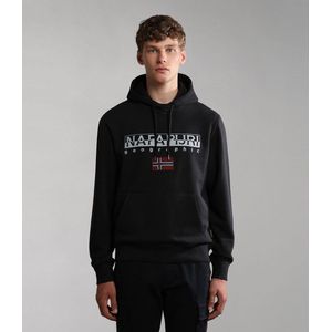 Katoenen Sweatshirt Met Capuchon En Logoprint