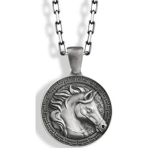 Horse in Greek meander coin hanger ketting Oxidized 16 inches