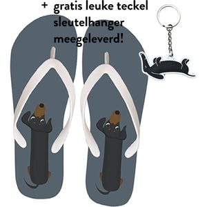 Teckel - flip flops - flip flop teckel - teenslipper - teenslippers - hond - teckelprint - slippers - badslippers - maat 38/39 - grijs - teckel slippers