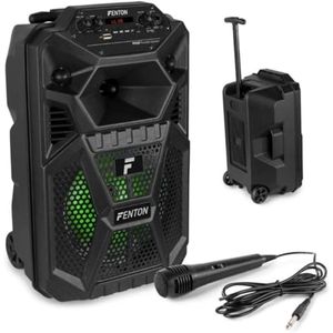 Mobiele Accu Speaker 100W met Bluetooth, LED verlichting en Microfoon