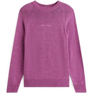 Tommy Jeans Tjm Slim Linear Sweater Ragl - Fashion Wear - Volwassen