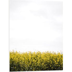 PVC Schuimplaat- Gele Bloementjes - 60x80 cm Foto op PVC Schuimplaat
