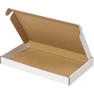 100 stuks Brievenbusdoos 255 x 160 x 28 mm (A5+)