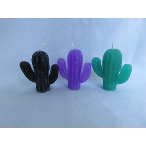 Kaars cactus set van 3, zwart zwarte orchidee geur, paars lavendelgeur, groen appelgeur