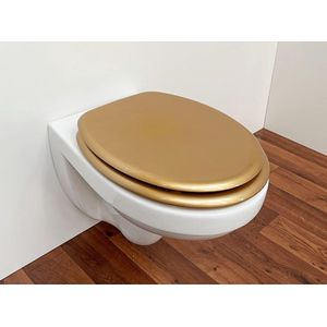 wc-bril Duroplast, toiletbril met softclosemechanisme en snelsluiting voor eenvoudige reiniging