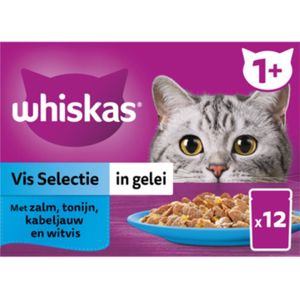 2x Whiskas 1+ - Kattenvoer natvoer - Vis - Selectie in gelei - maaltijdzakjes 12 x 85 g
