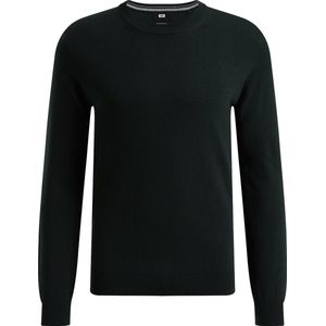 WE Fashion Heren fijngebreide trui van katoenmix