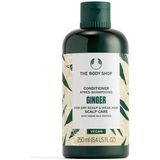The Body Shop - Ginger Scalp - Conditioner - Groen