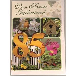 85 jaar! Van harte gefeliciteerd! Je bent 85 jaar geworden! Een kleurrijke kaart met diverse bloemen en dieren. Een leuke kaart om zo te geven of om bij een cadeau te voegen. Een dubbele wenskaart inclusief envelop en in folie verpakt.