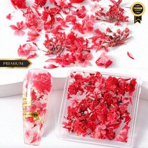 GUAPÀ® Nail Art Decoratie Bloemen | Nagel Versiering | Gellak | Builder Gel | Acryl Nagels | Nagellak | Gedroogde Nail Art Bloemen | Nagelstickers | Nagel Glitters | Rode Decoratie Bloemen