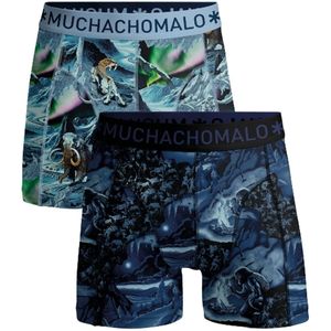 Muchachomalo Boys 2-pack boxer shorts prehistory