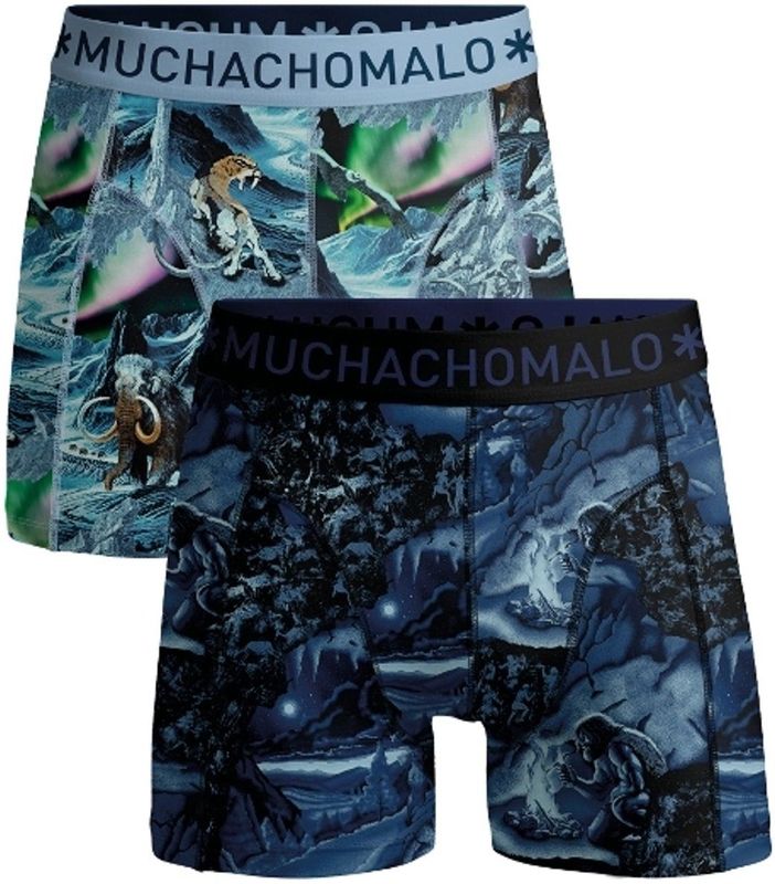 Muchachomalo Boys 2-pack boxer shorts prehistory