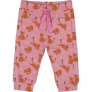 4PRESIDENT Broek - Leopard AOP - Maat 62 - Baby broekjes - Newborn kleding