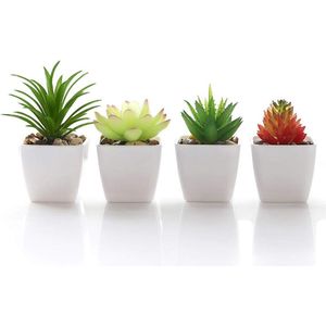 Kunstmatige vetplant, namaakplant, potplant, mini-vierkant, wit, bloempot, kamer, familie, tuin, interieur, decoratie, groen