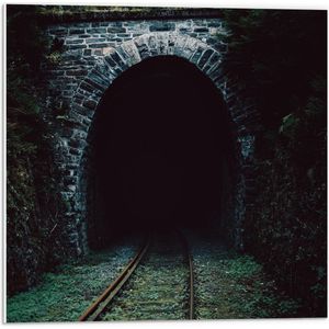 Forex - Donkere Tunnel met Rails - 50x50cm Foto op Forex
