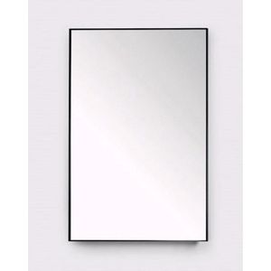 Royal plaza Merlot spiegel 30 x 80 cm mat zwart