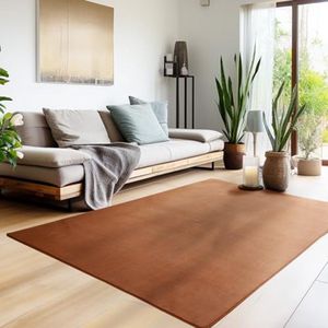 Laagpolig Tapijt voor Woonkamer en Slaapkamer, 160 x 230 cm - Wasbaar en Antislip, Modern en Extra Zacht