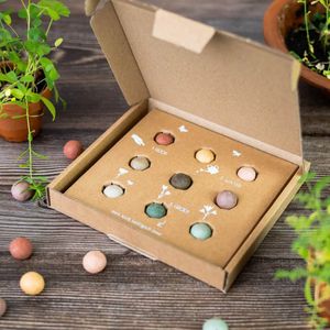Blossombs Bloembommetjes Giftbox Medium - 9 Zaadbommetjes - 1001 Bloemetjes Bedankt