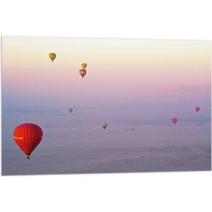 WallClassics - Vlag - Ballonvaarten in Verschillende Luchtballonnen - 90x60 cm Foto op Polyester Vlag