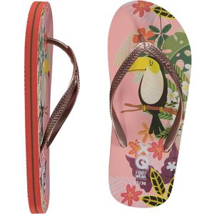 XQ Footwear - Slippers - Toekan - Multi Color - Maat 29/30