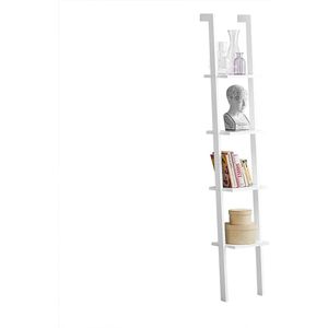 Rootz Moderne 4-laags ladderplank - Wandplank - Standplank - Boekenkast Opslag Display Plank