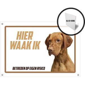 Waakbord/ bord alu di-bond | ""Hier waak ik"" | 30 x 20 cm | Hongaarse Vizsla | Kortharige Vizsla | Roestvrij paneel | Waakhond | Hond | Vizla | Betreden op eigen risico | Dikte: 3 mm | Aluminium | Metaal | Met hechtingsgaten | 1 stuk