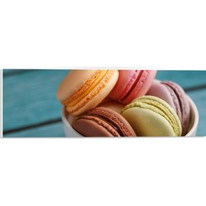 PVC Schuimplaat - Schaaltje met Verschillende Smaken Macarons - 60x20 cm Foto op PVC Schuimplaat (Met Ophangsysteem)