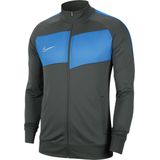 Nike Academy Pro - Trainingsvest - Antraciet / Royal