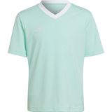 adidas - Entrada 22 - Voetbalshirt - Blauw - Kids