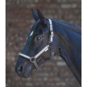 REFLEX Stripe Halter | Pony