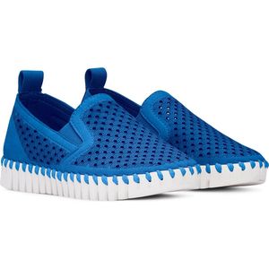 Instappers TULIP140KIDS - 671 Direct Blue