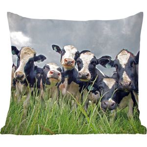 Sierkussens - Kussen - Grijze lucht boven de kudde Friese koeien - 40x40 cm - Kussen van katoen