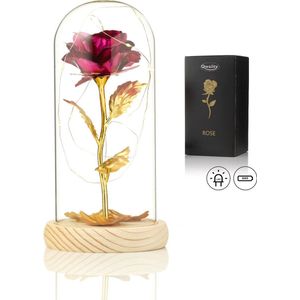 Luxe Roos in Glas met LED – Gouden Roos in Glazen Stolp – Moederdag - Cadeau voor vriendin moeder haar - Roze met Blaadjes - Lichte Voet – Qwality
