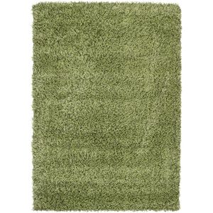 Vloerkleed Shaggy Plus 965 Green 200x290 cm