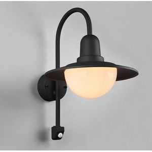 Olucia Rolin - Klassieke Buiten wandlamp met bewegingssensor - Aluminium/Glas - Zwart