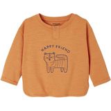 Vertbaudet - T-shirt met Lange Mouwen - Leeuw - Baby