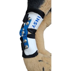 Brace, Hondbrace, hond brace, hond beugel, hond spalk, hond splint, hond steun, hond knie brace, hond, brace, dog brace, maat L.