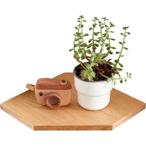 Drijvende Hoek Wandplank Hout Eiken - Klein Zwevend Wandrek voor Planten - Slaapkamer Woonkamer Keuken - Draadgat voor Kabels (22 cm)