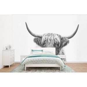 Schotse hooglander - Dieren - Hoorns - Zwart wit - Behangpapier