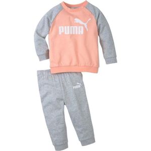 Puma Minicats Essentials Raglan Trainingspak - Grijs/Oranje - Maat 80