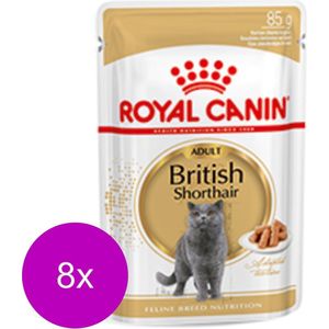 Royal Canin Fbn British Shorthair Adult Pouch - Kattenvoer - 8 x 12x85 g