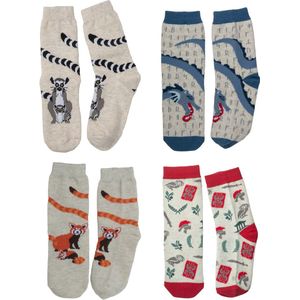 Nature Planet - Set van super kindersokken - ringstaartmaki - roman- rode panda - draak (100% Oeko-tex gecertificeerd) maat 35-38