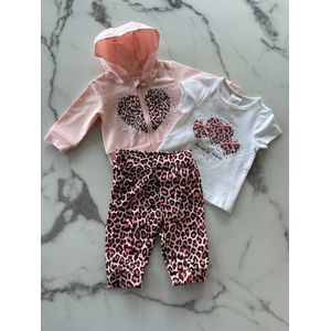 Baby meisjes setje 3 delig Roze met panterprint ""Princess"" bestaande uit een broek, t-shirt en een vest, verkrijgbaar in de maten 56 t/m 80