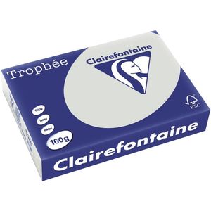 Clairefontaine - Lichtgrijs - Gekleed Papier - A4 - 250 Vellen - 160 g/m²