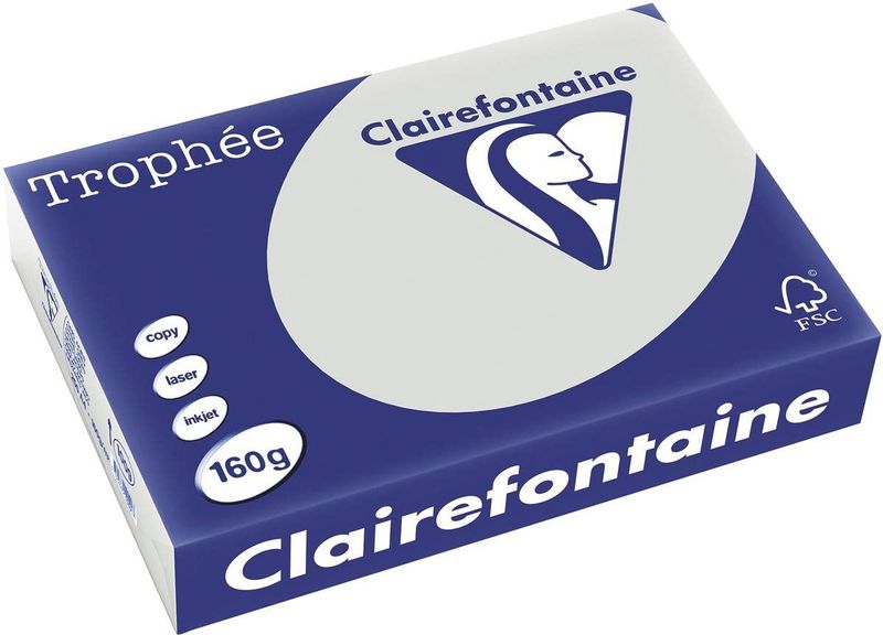 Clairefontaine - Lichtgrijs - Gekleed Papier - A4 - 250 Vellen - 160 g/m²