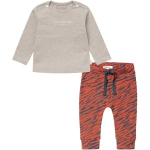 Noppies - Kledingset - 2delig - Broek Orinoco Spicy ginger - Shirt hester Taupe - Maat 68